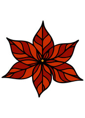 Poinsettia flower vector illustration 