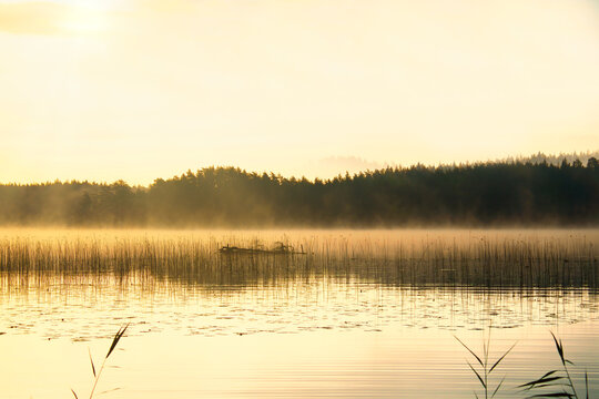 Sunrise with fog forming over a lake in Sweden, at dawn. Romantic silence