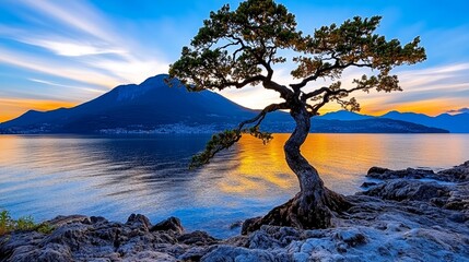 Scenic Sunset Landscape with Solitary Tree on Rocky Coastline Mountains and Calm Water