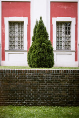 Symmetric Building Tree in Gdansk Poland Old Town Europe Historical Centre