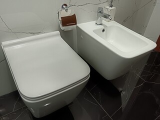 bathroom toilet, luxury bathroom