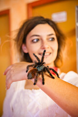 Araignée mygale tarentule sur le bras d'une femme