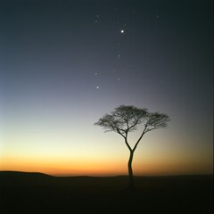 A solitary tree stands against a breathtaking twilight sky filled with stars, creating a serene and peaceful atmosphere, This image can be used for nature themes, tranquility, or inspiration,