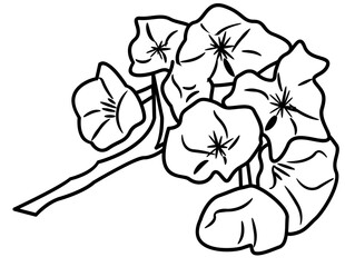Cherry Blossom Doodle Element coloring page cartoon illustration