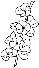 Cherry Blossom Doodle Element coloring page cartoon illustration