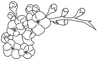 Fototapeta premium Cherry Blossom Doodle Element coloring page cartoon illustration