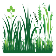 grass field set pro vector