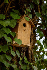 A bird house on tree