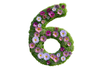 6 made from flowers isolated on a transparent or white background