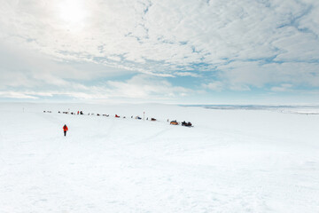 Husky dog sledding mushing adventure across vast snowy landscape in group sledding journey through...