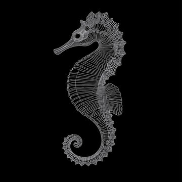 recommend clip art: A minimalist line-art illustration of a seahorse on a black background. 