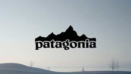 Minimalist Patagonia logo in black