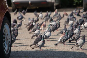 sea, view, port of Kiel, Kiel, Germany, ports, ships, ship, boat, sea view, travel, travelling,...
