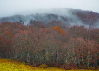 Fototapeta premium Mount Autore Livata (Subiaco, Italy) - Autumnal foliage in the mountains of province of Roma, Lazio region, Simbruini mounts natural park. Here a view with a beautiful autumn landscape.