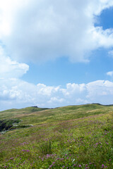 a green hill with a blue sky and clouds