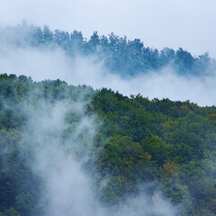 Smoke covering the Mountain 
