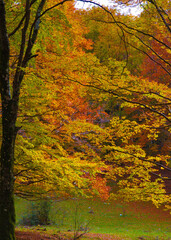 Mount Autore Livata (Subiaco, Italy) - Autumnal foliage in the mountains of province of Roma, Lazio region, Simbruini mounts natural park. Here a view with a beautiful autumn landscape.