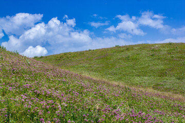 a field with wind turbines in the background and a mountain in the background.