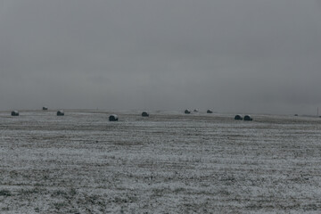 snowy hay bales with fog near farm