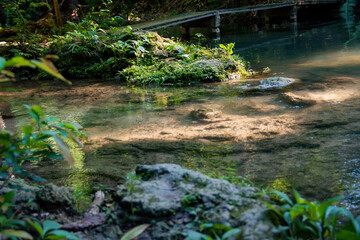  น้ำตกวังก้านเหลือง,สวนรุกขชาติวังก้านเหลือง,น้ำตกวังก้านเหลือง ลพบุรี,เดินป่าศึกษาธรรมชาติ 