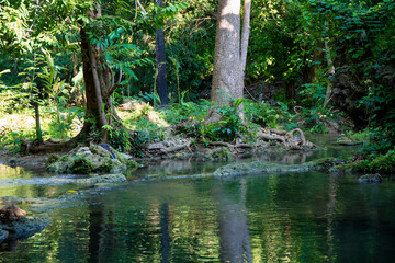  น้ำตกวังก้านเหลือง,สวนรุกขชาติวังก้านเหลือง,น้ำตกวังก้านเหลือง ลพบุรี,เดินป่าศึกษาธรรมชาติ 