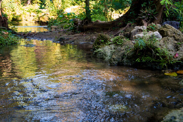  น้ำตกวังก้านเหลือง,สวนรุกขชาติวังก้านเหลือง,น้ำตกวังก้านเหลือง ลพบุรี,เดินป่าศึกษาธรรมชาติ 