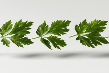 Fototapeta premium Stylized 3D Illustration of Mustard Greens Leaves
