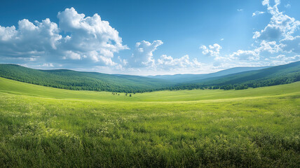 Fototapeta premium Vast panorama of lush green grassland in Russia showcasing the beauty of nature's tranquility