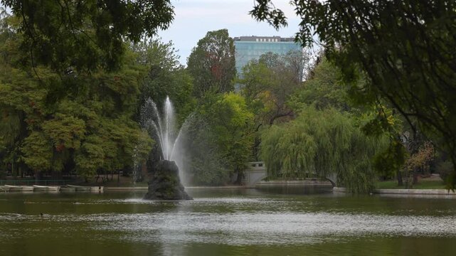 Cismigiu Park. 4K video with the water fountain from Cismigiu gardens park in Bucharest. Autumn landscape in thie beautiful historical park in Romania.