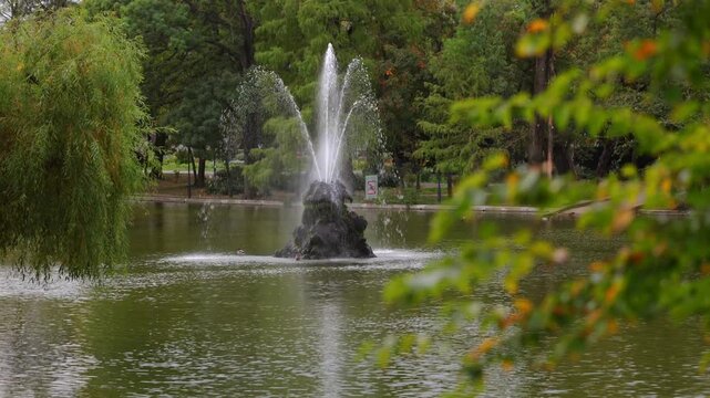 Cismigiu Park. 4K video with the water fountain from Cismigiu gardens park in Bucharest. Autumn landscape in thie beautiful historical park in Romania.
