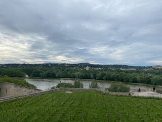 Fototapeta premium Vue sur le rhône depuis le bemvédère du rocher des doms à Avignon