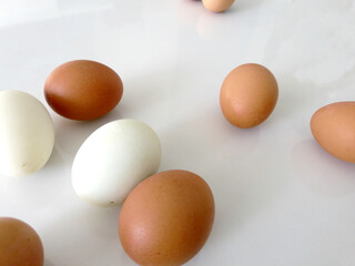 Boiled eggs on a white background