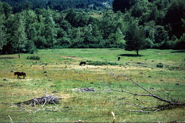 Mountain landscape along the road to Col du Linas, Occitanie, France