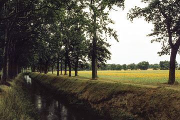 Obraz premium Rural landscape near Albi, Occitanie, France