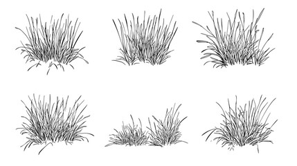 Set of vector grass illustrations on a white background. Architectural Drawings, Minimal style cad turf drawing, Side view, set of graphics meadows elements outline symbol for lawn landscape design