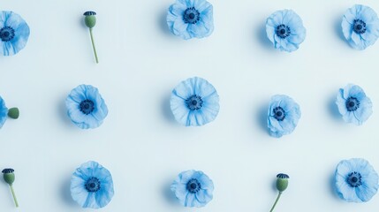 Discover the beauty of blue poppies a visual journey through nature's artistry