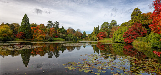 Sheffield Park Uckfield East Sussex in the UK and its natural beauty of of autumn