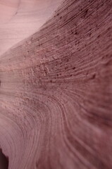 texture of the wood