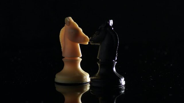 Chess figures of black horse and white horse face by face
