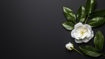 Obraz premium lily of the valley