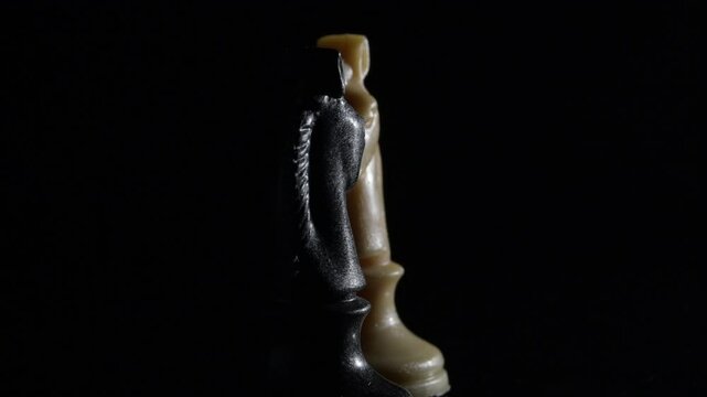 Black and White Horse Chess face by face