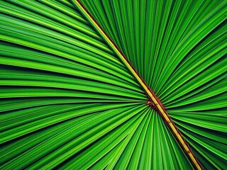 Fototapeta premium Close up of a vibrant green palm leaf texture showcasing the intricate natural patterns and details, background