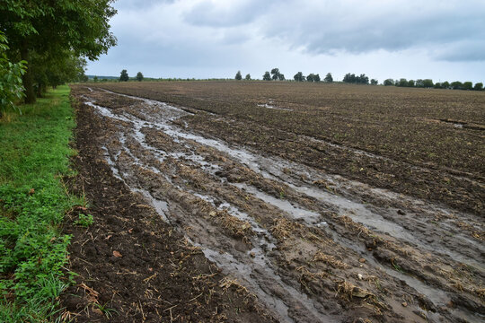 Erosive water stream down the field soil erosion