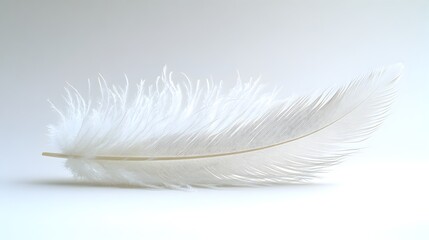 Close-up photograph of a soft,fluffy white feather in a minimalist,tranquil studio setting. The feather is delicately lit,creating a sense of purity and elegance with a clean,serene aesthetic.