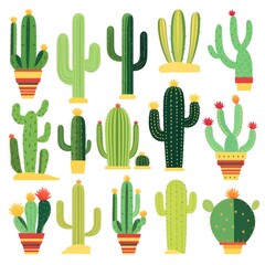 Colorful cactus collection: diverse succulents with vibrant pots for interiors