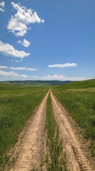 Serene dirt path winding through lush green fields under a bright blue sky