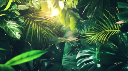 Lush Green Tropical Leaves in Natural Light