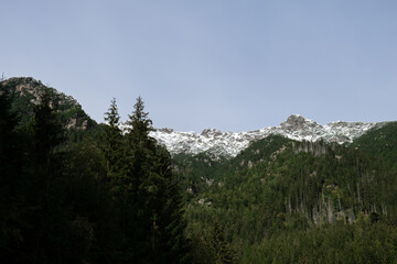 Snowy mountains, green forests In National park Zakopane Poland. Mountain nature landscape. Blue sky. Travel outdoors green tourism concept Naturecore. Hiking wellbeing 