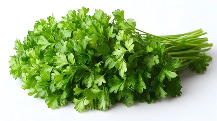 Obraz premium Fresh,lush bunches of fragrant parsley and cilantro herbs arranged on a clean white background. These versatile,nutrient-dense culinary greens are essential ingredients in a variety of cuisines.