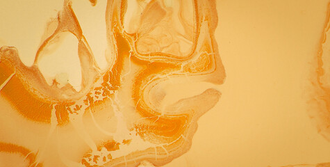 Obraz premium Old Paper with a Dirty Grunge Texture and Vintage Vibe